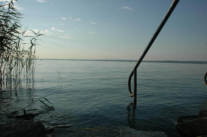 IAMS2008 051.jpg